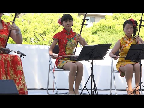 「🎵情熱大陸」癒しの二胡姫美少女