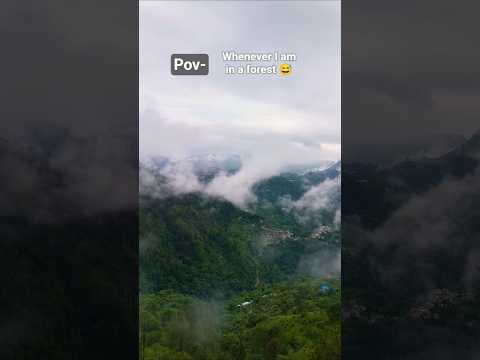 Above the clouds🤩or in dreams🫠😅 #viral #trend #nature #toptrending #hottrending #explorefeed#travel