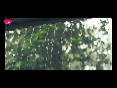 睡眠を誘導する雨の音！不眠症、ストレスを解消する雨の音！The sound of the Rain relieves insomnia and stress ! 불면증및 스트레스해소하는 빗소리 !