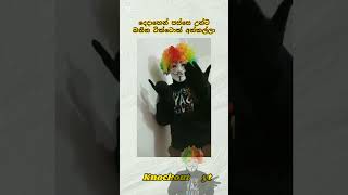 #dj #newdjnonstop #remix #nonstop2025 #djremix #tamilsong #dancer #love #dance #bestsinhaladj