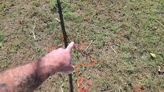 Construction Worker Teaches the Pythagorean Theorem