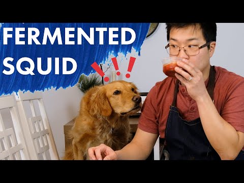 THE LESSER KNOWN KOREAN FOODS | Ep. 1 Fermented Squid