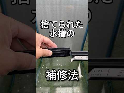 捨てられた水槽の直し方をご紹介です！補修は自己責任ですがプラリペアを使えばくっつきますよ。#水槽#プラリペア#もったいない#岡谷市