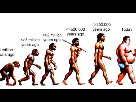 Mnemonic for  Evolution order of Man #neet2023 #biology