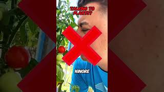 They Tried To Get A Speeding Ticket… By Running 😳