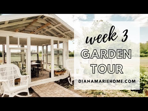 Garden Tour Week 3 | Diana Marie Home