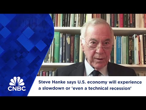 Steve Hanke says U.S. economy will experience a slowdown or 'even a technical recession'