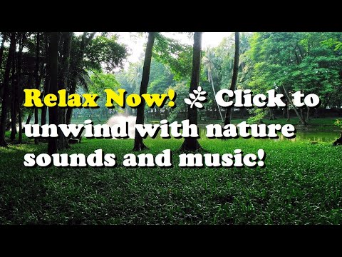 Harmony of Nature: Relaxing Soundscape and Music
