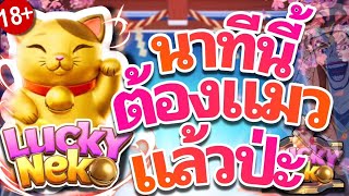#siam66 Lucky Neko Pg | นาทีนี้แมวเชื่อพี่ !! 🙀