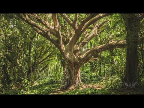 【フリーBGM素材】メロディカルなゲーム戦闘曲風【ループ】