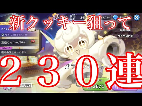 【クッキーランキングダム】プリンアラモード味クッキー登場！新クッキー狙って合計ガチャ２３０連引いた結果！！【新クッキー】