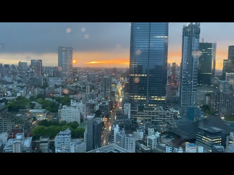 Kawagae And Tokyo Tower Vlog