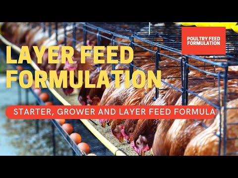Layer Feed Formulation, How to Make Your Own Layer Feed (HD)