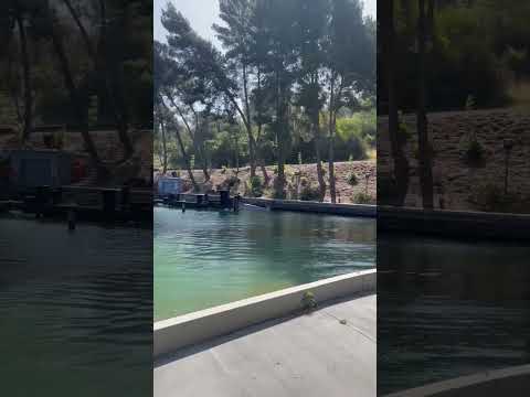 Universal Studios Hollywood | Bruce Submerges #universalstudiostour #jaws #stevenspielberg #shark