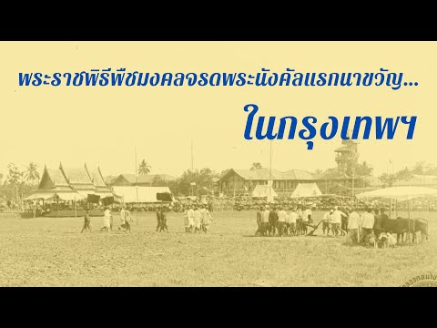 พระราชพิธีพืชมงคลจรดพระนังคัลแรกนาขวัญ… ในกรุงเทพฯ