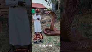 Ar Rahman Al Quran #views #viralreels #makkah #recitation #1millionviews #shorts