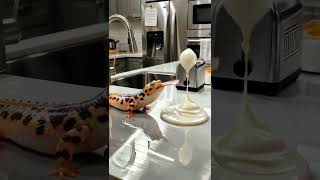 SURREAL Object Swap & Quick Punchline: Gravity Gone Wild!