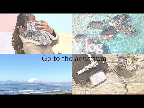 【Vlog】休日朝の過ごし方/水族館へ行く°･🐠