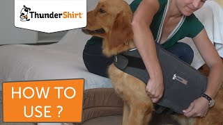 How to use ThunderShirt