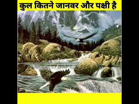 इस image कुल कितने जानवर और पक्षी हैं।