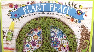 Plant Peace from Creativity for Kids
