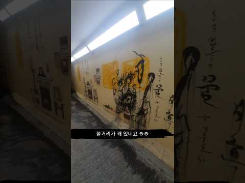 구경거리~#브이로그 #산책 #공포