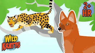 Creature Combat | Dhole Pack Vs Leopard | Wild Kratts