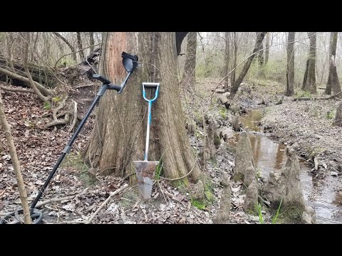 Digstock 3 - Buckeye goes swamp diggin'!