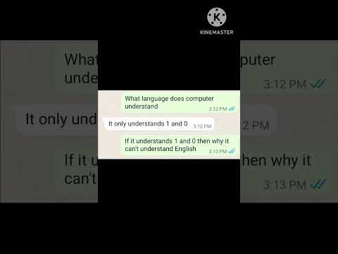 every computer student's question be like