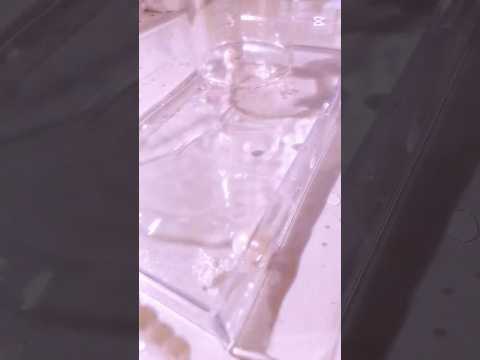 水の上で生活音流行ってるからやってみた😽🎵コスメはしっかり拭きました💭#手元動画#雰囲気#コスメ#水