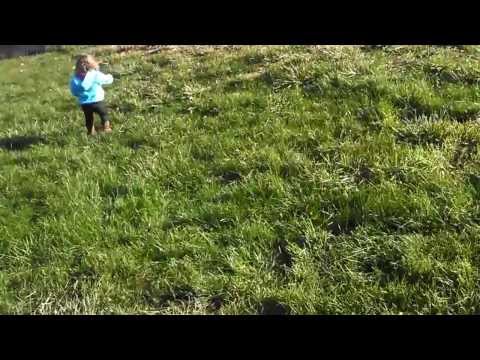 TSM 115 Chicken Coop Virtual Tour Part #1