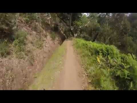 jogging from Camacha to levada do pico Gaula1
