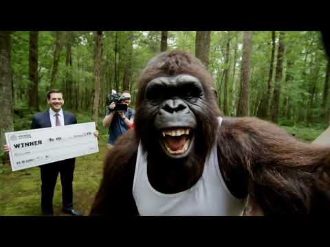 Bigfoot Vlogs - I Won The Lottery 