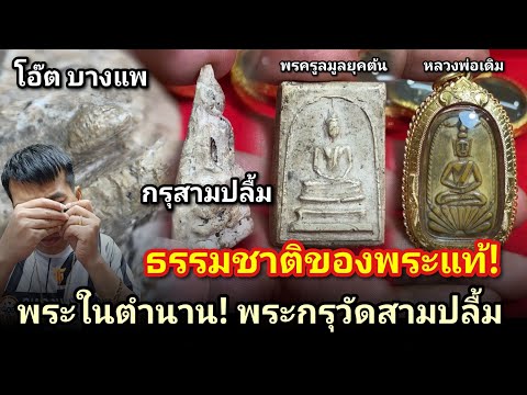 ธรรมชาติของพระเก่าเกิน100ปี #พระกรุวัดสามปลื้ม #สมเด็จพระครูมูลยุคต้น #พระพุทธงาแกะหลวงพ่อเดิม