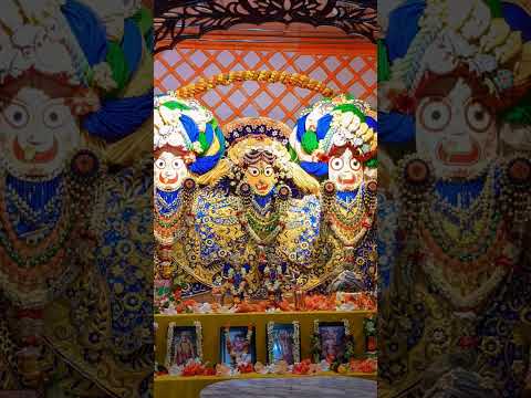 Darshan of Radhamadhava & Jagannath Baldev Subhadra Maharani #500kview #500subscriber #sorts #iskcon