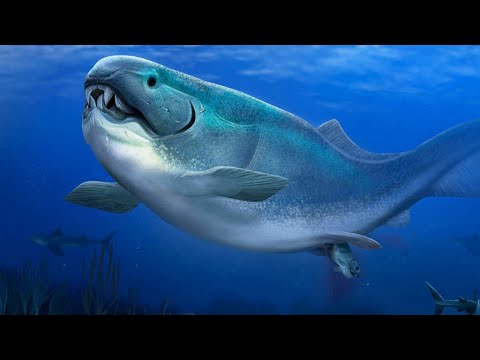 What Was Life Like During The Devonian Period?