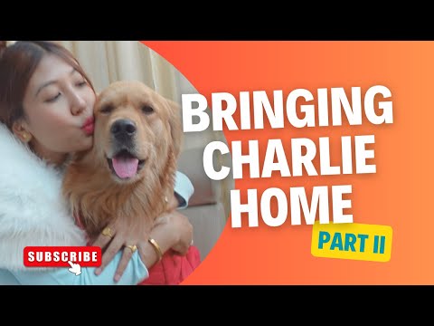 Bringing Charlie Home - part 2/ Meeting our daughter Heather after 10days🥹