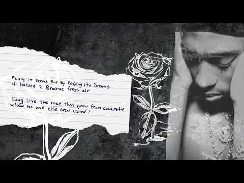 2Pac - The Rose That Grew from Concrete (Poetry Collection)