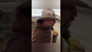 I Got Called Out for Burning Firewood… Here’s My Response. #woodburning #geteducated #deadtrees