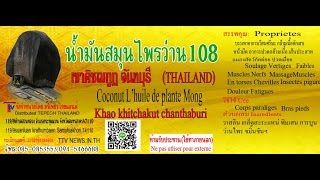 ยาหม่องสมุนไพร 108 ว่านน้ำมัน เขาคิชฌกูฏ รอยพระบาทเขาคิชฌกูฏ