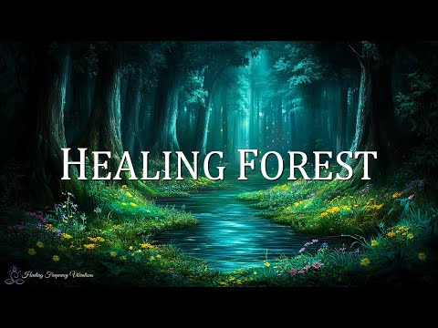 Healing Forest Ambience | 852Hz + 528Hz + 285Hz | Revitalize Spirit & Cellular Rejuvenation #2