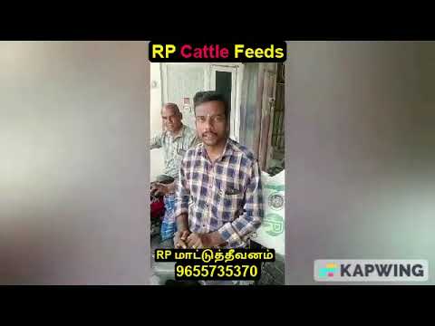 தீவன செலவுல பாதி காசு மிச்சம் ஆகுது | #மாட்டுத்தீவனம் | #RPCattleFeeds | #தீவனம் | #கோதுமைதவிடு