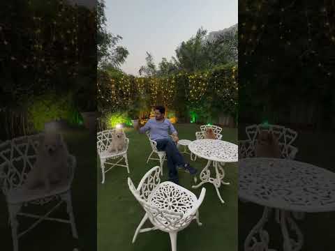 Aukhe Sokhe by Jass Bajwa | Punjabi Song #jassbajwa #shorts #aukhesokhe #punjabisong