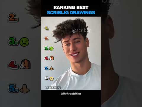 Ranking Best Scriblig Drawings!