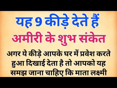 यह 9 कीड़े देते है अमीरी का शुभ संकेत | Vastu gyan | vastu  shastra घर गृहस्थी के लिए महत्पूर्ण बाते