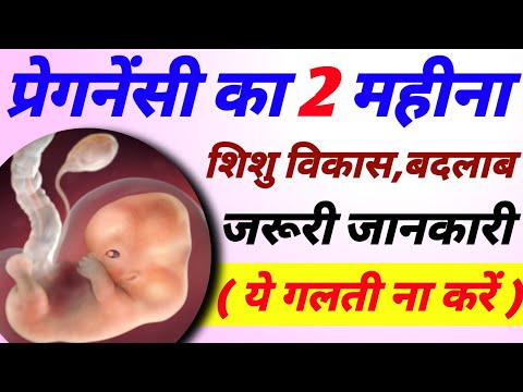 प्रेगनेंसी का दूसरा महीना | 2nd Month Of Pregnancy |