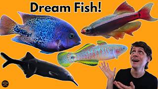 I Bought Every Fish I've Wanted This Year