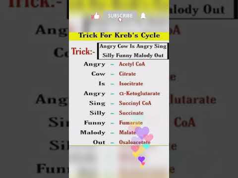 Trick to learn Krebs cycle #shorts #facts #neet #tricks #biology #knowledge #neettricks