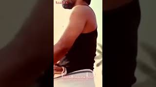 Thalapathy vijay full screen watsapp video