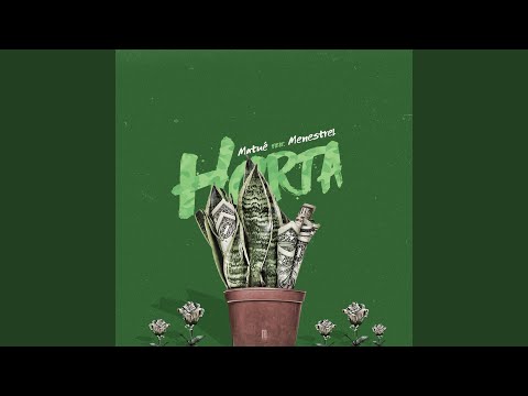 H. O. R. T. A